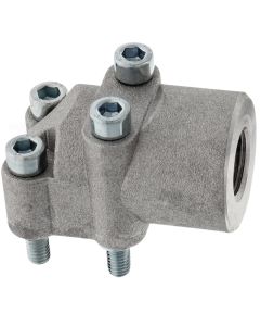 WP-Flansch-LK55-1"