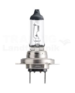 Halogenlampe H7