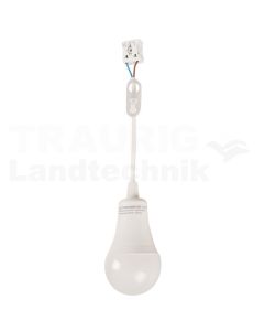 LED-Baulicht 12W