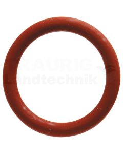 Dichtring