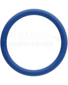 Dichtring