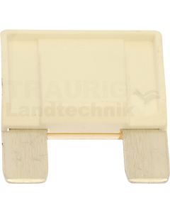 Flachstecksicherung, Maxi
