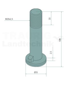 Spezialschraube M20x2,5