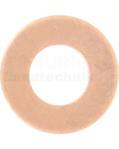 Dichtring