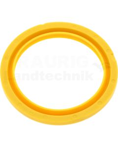Dichtring
