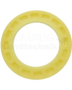 Dichtring