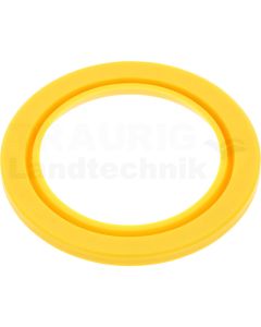 Dichtring