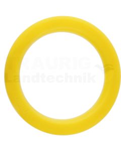 Dichtring
