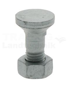 Senkschraube mit Mutter M12x1,25