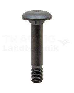 Flachrundschraube M16x90
