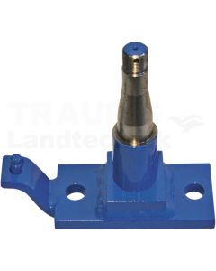  Achse mit Federhalter