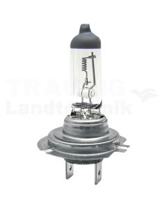 Halogenlampe H7