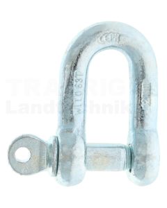 Schäkel A12 DIN 82101