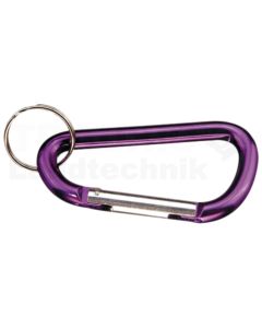Schlüsselkarabiner