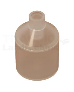 BFS Schwimmer