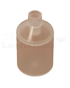 BFS Schwimmer