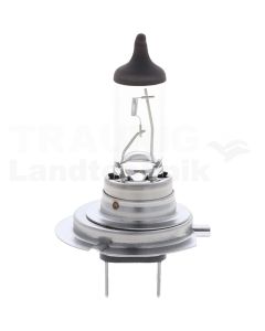Halogenlampe H7