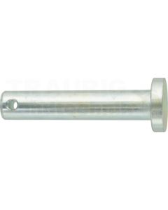Bolzen 10x50 DIN 1444