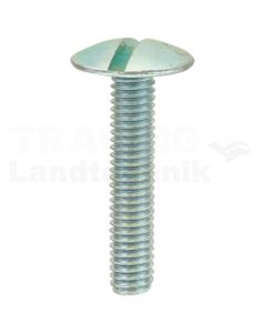 Linsenkopfschraube M6x30 DIN 88107