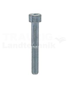 Zylinderschraube M8x55 DIN 912