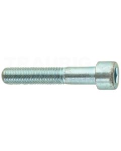 Zylinderschraube M10x55 DIN 912
