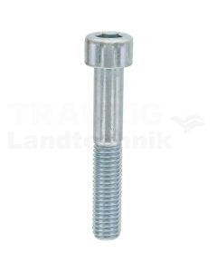 Zylinderschraube M10x60 DIN 912