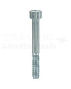 Zylinderschraube M10x80 DIN 912