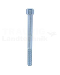 Zylinderschraube M10x110 DIN 912