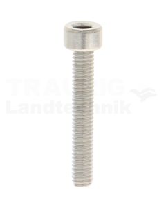 Zylinderschraube M20x30 DIN 912