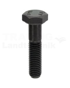 Sechskantschraube M10x45 DIN 931