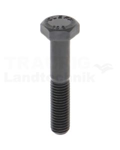Sechskantschraube M10x55 DIN 931