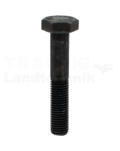 Sechskantschraube M10x55 DIN 960