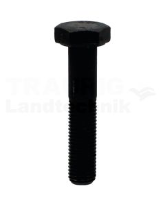 Sechskantschraube M10x50 DIN 960