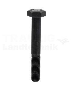 Sechskantschraube M10x70 DIN 960