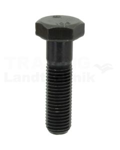 Sechskantschraube M12x45 DIN 960