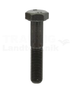 Sechskantschraube M12x60 DIN 960