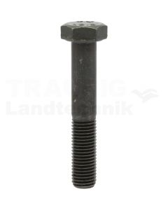 Sechskantschraube M12x70 DIN 960