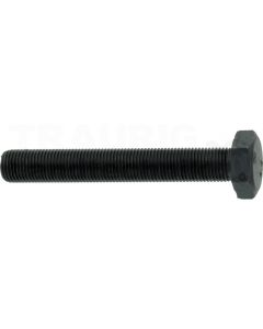 Sechskantschraube M10x70 DIN 961