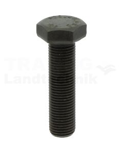 Sechskantschraube M12x45 DIN 961