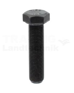Sechskantschraube M16x65 DIN 961