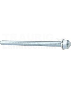 VPE10 Ankerstange FIS A M16x250 8.8 VZ