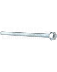 VPE10 Ankerstange FIS A M10x170 8.8 VZ