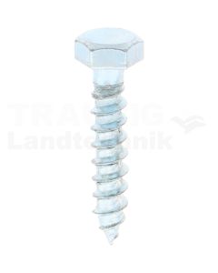 VPE100 Schlüsselschraube M5x25 DIN 571