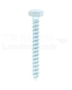 VPE100 Schlüsselschraube M5x40 DIN 571