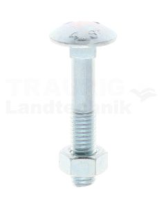 VPE50 Schlossschraube M8x45 DIN 603