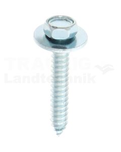 VPE50 Blechschraube M6x38 DIN 6901