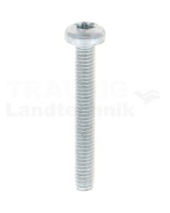 Gewindefurchende Schrauben M4x30 DIN7500