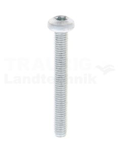 Gewindefurchende Schrauben M5x40 DIN7500