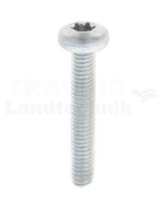 Gewindefurchende Schrauben M6x35 DIN7500