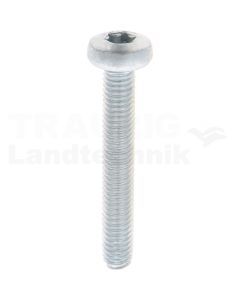 Gewindefurchende Schrauben M6x40 DIN7500